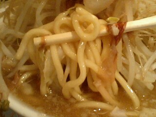 ひかり製麺堂 ドカ盛り醤油ラーメン[野菜増し増し] 麺