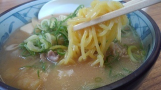 白ひげ食堂 豚汁ラーメン 麺